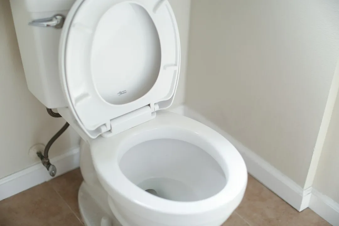 Vue rapprochée d'un sanibroyeur installé derrière des WC modernes dans une salle de bains claire